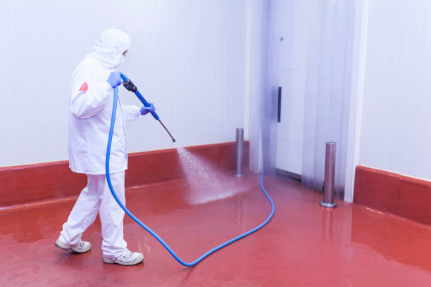 Best Driveway Pressure Washing  in Kingstowne, VA