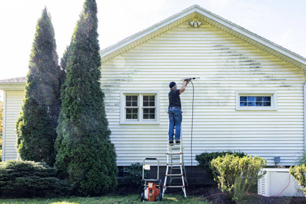 Professional Pressure Washing Services in Kingstowne, VA